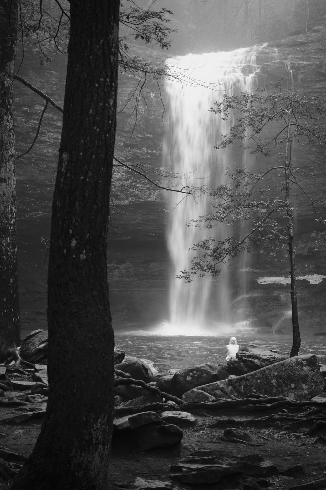 Moving Water — Cloudland Canyon State Park, GA