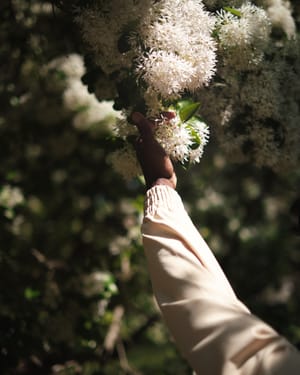 Touching Blooms — Savannah, GA